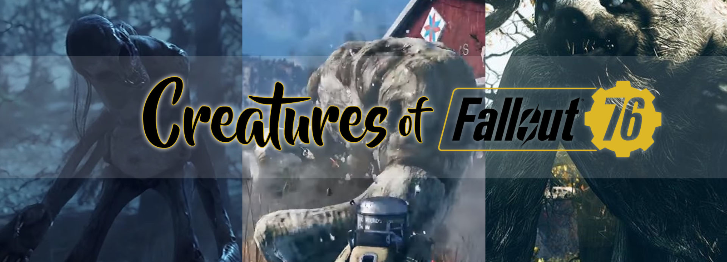 banner-fo76